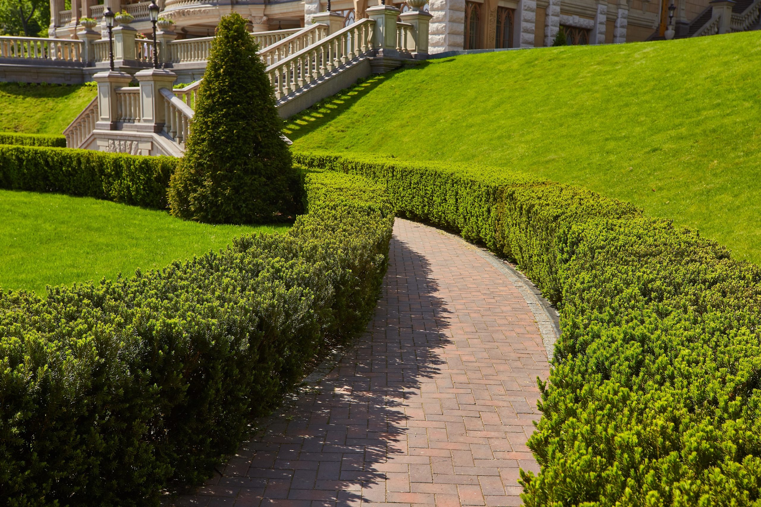 Greening Your Space: Residential Landscape Maintenance Services and Solutions