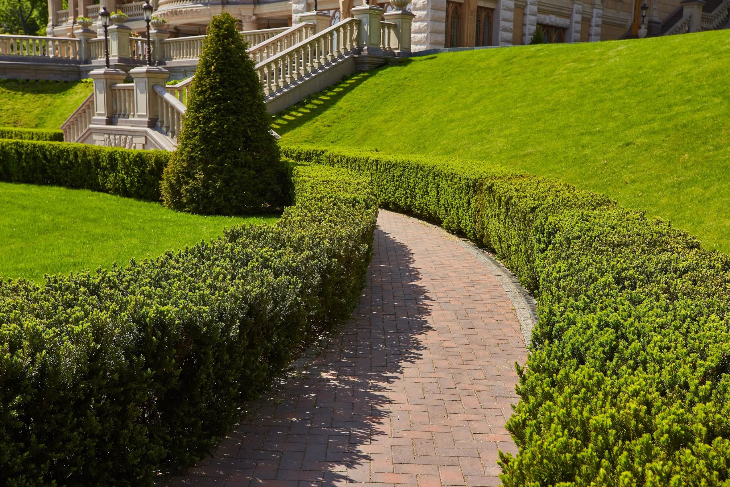 Residential Landscape Maintenance Services in Sydney: Transform Your Outdoor Space with Expert Landscaping